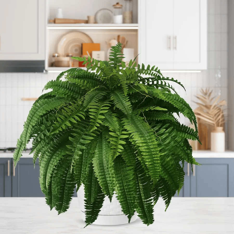 Last Day 75% OFF🔥UV Resistant Lifelike Artificial Boston Fern🌴🌳