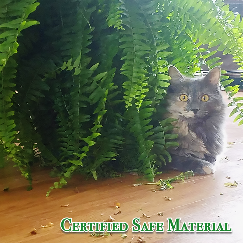 Last Day 75% OFF🔥UV Resistant Lifelike Artificial Boston Fern🌴🌳