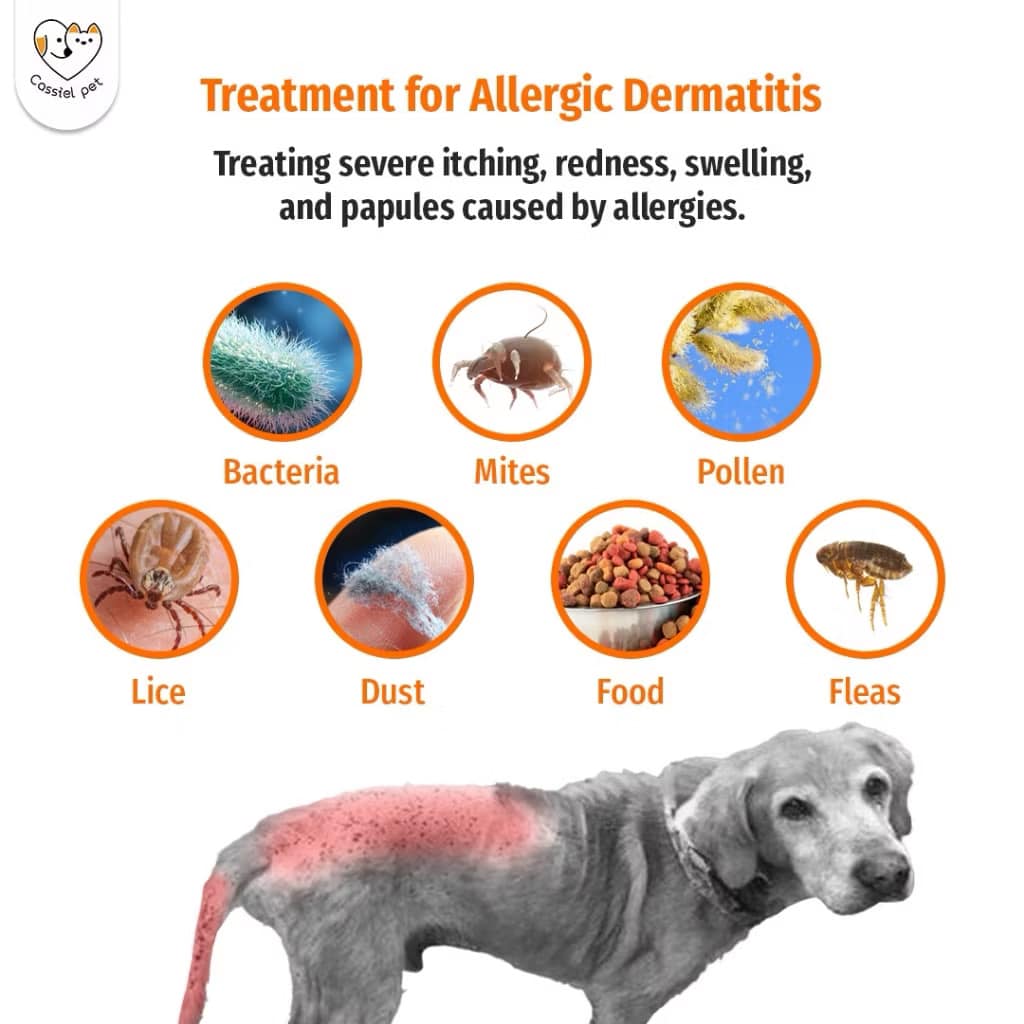 Anti-itch Skin Spray for Dogs/ Cats, Upgraded Pipot Mange Relief