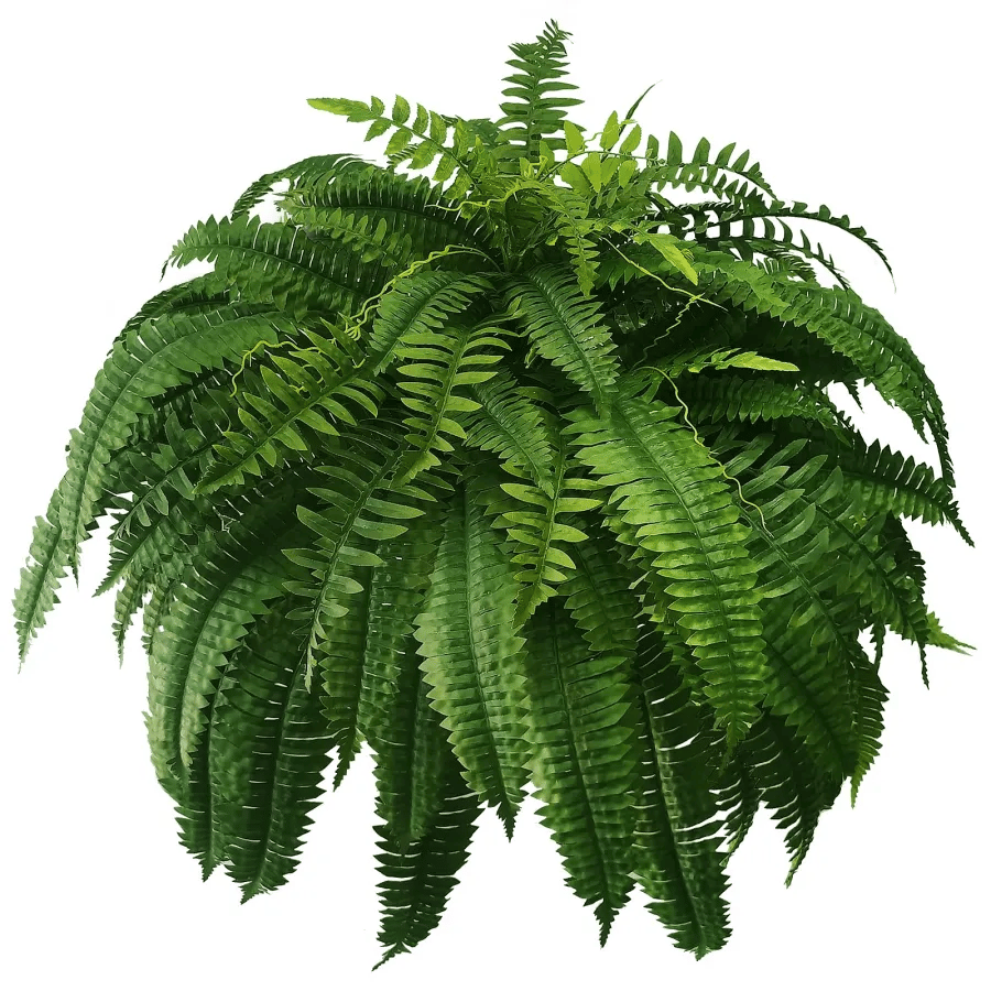 Last Day 75% OFF🔥UV Resistant Lifelike Artificial Boston Fern🌴🌳