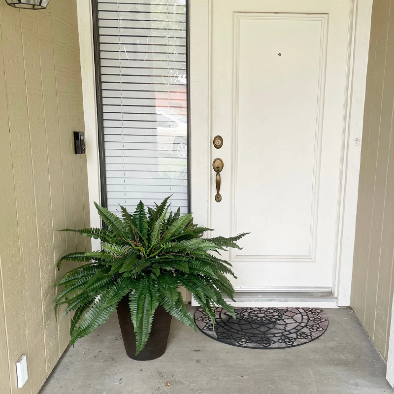 Last Day 75% OFF🔥UV Resistant Lifelike Artificial Boston Fern🌴🌳