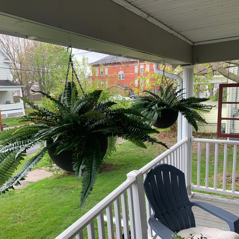Last Day 75% OFF🔥UV Resistant Lifelike Artificial Boston Fern🌴🌳