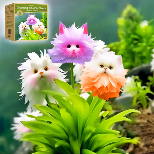 🇺🇸GFOUK® Charming Blossom Seeds