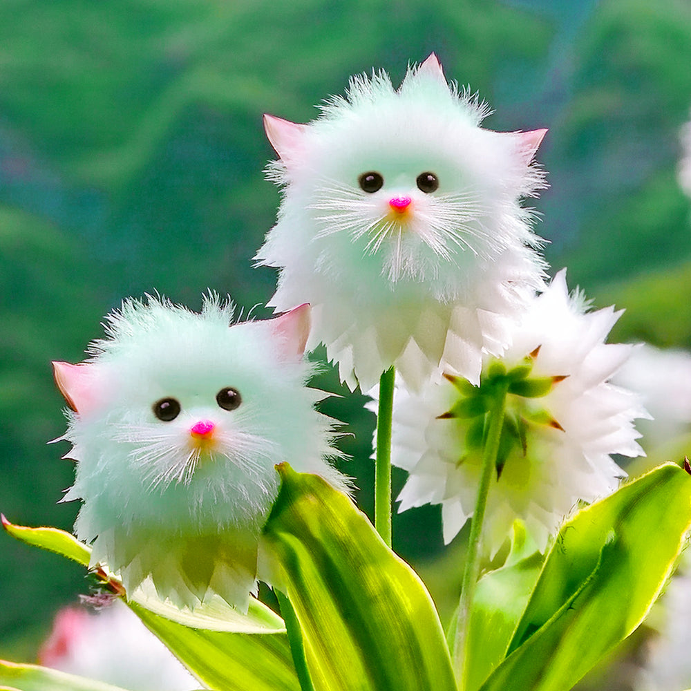🇺🇸GFOUK® Charming Blossom Seeds