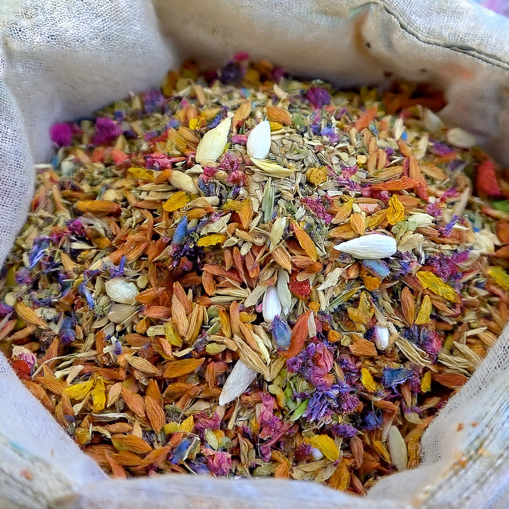 🇺🇸GFOUK® Charming Blossom Seeds