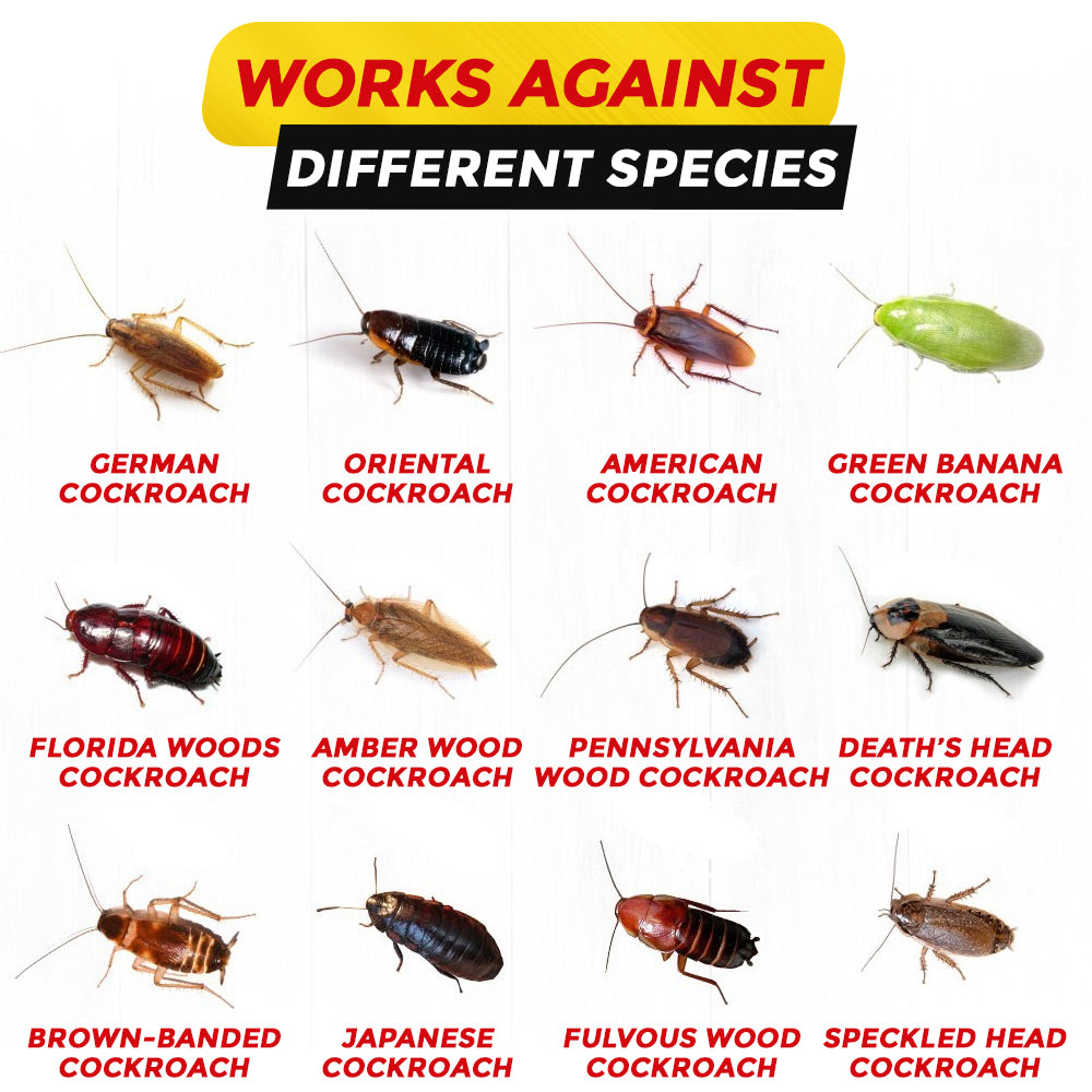 GFOUK® Roach Maxtrap Gel