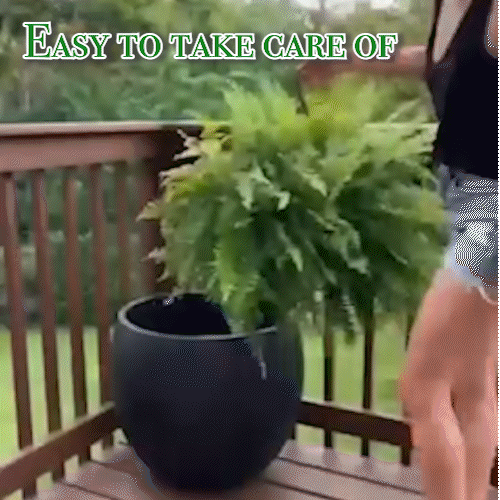 Last Day 75% OFF🔥UV Resistant Lifelike Artificial Boston Fern🌴🌳