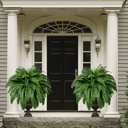 Last Day 75% OFF🔥UV Resistant Lifelike Artificial Boston Fern🌴🌳
