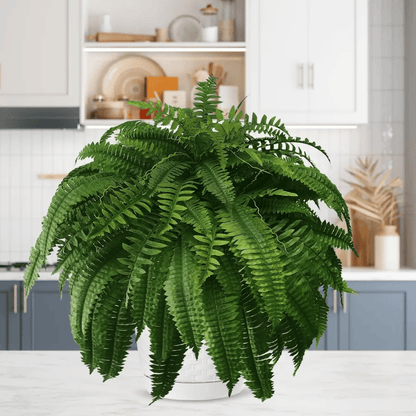 Last Day 75% OFF🔥UV Resistant Lifelike Artificial Boston Fern🌴🌳