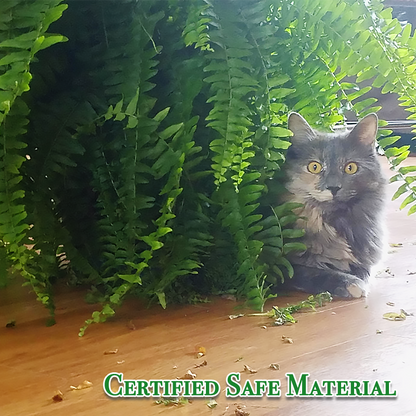 Last Day 75% OFF🔥UV Resistant Lifelike Artificial Boston Fern🌴🌳