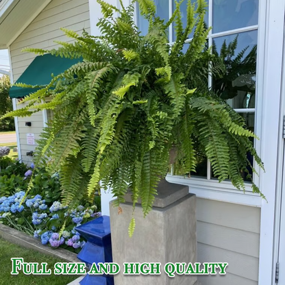 Last Day 75% OFF🔥UV Resistant Lifelike Artificial Boston Fern🌴🌳