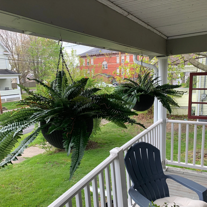 Last Day 75% OFF🔥UV Resistant Lifelike Artificial Boston Fern🌴🌳