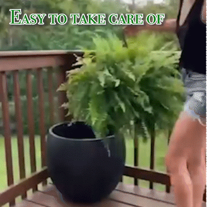 Last Day 75% OFF🔥UV Resistant Lifelike Artificial Boston Fern🌴🌳